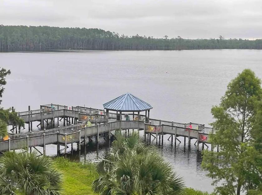 Big Pool, Stunning Lakeview, Sunrise, Disney #1907 أورلاندو المظهر الخارجي الصورة